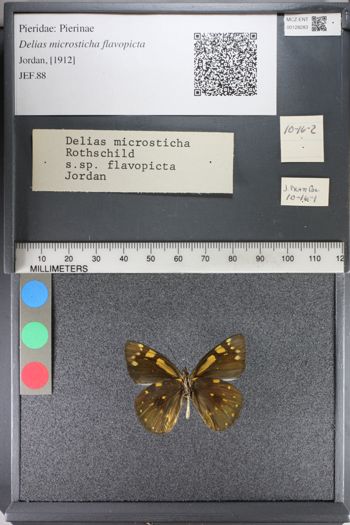 Media type: image;   Entomology 128283